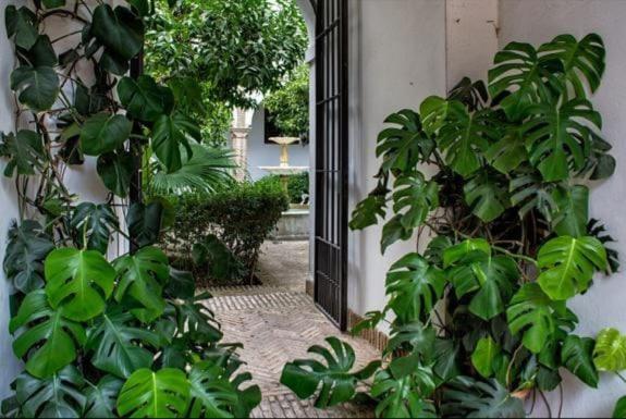 Appartement De Dos En Plaza Alfaro Séville